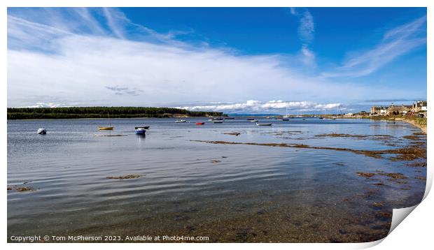  Scenic View of Findhorn Bay Print by Tom McPherson