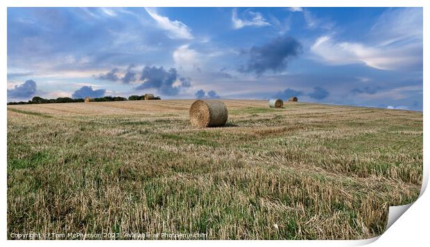 Harvest Time in Duffus, Moray Print by Tom McPherson