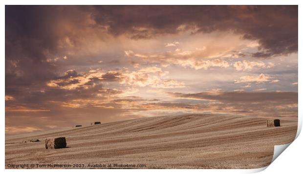 Golden Twilight Over Harvested Fields Print by Tom McPherson