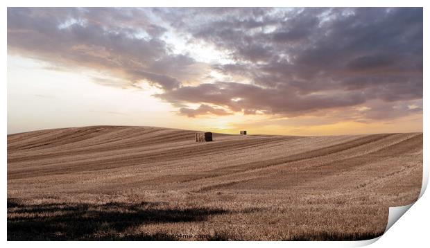 Sundown Over Moray Harvest Print by Tom McPherson