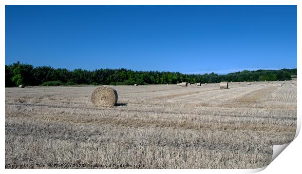 Verdant Pasture's Harvested Hay Bales Print by Tom McPherson