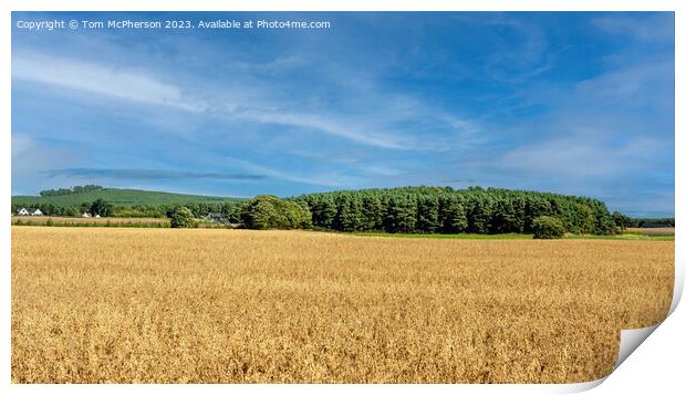 Serene Moray Farmlands: Scotland's Pride Print by Tom McPherson