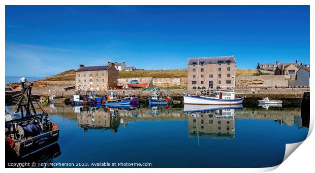 'Vibrant Bustle at Burghead Harbour' Print by Tom McPherson
