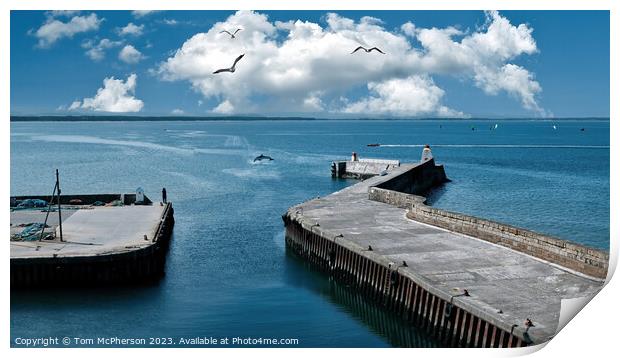 Life on Burghead Bay Print by Tom McPherson