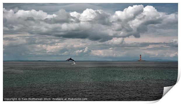 Serene Seascape on Moray Firth Print by Tom McPherson