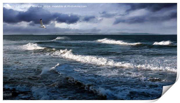Moray Coast seascape Print by Tom McPherson