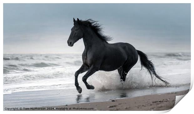 Fresian Horse gallops through Surf Print by Tom McPherson