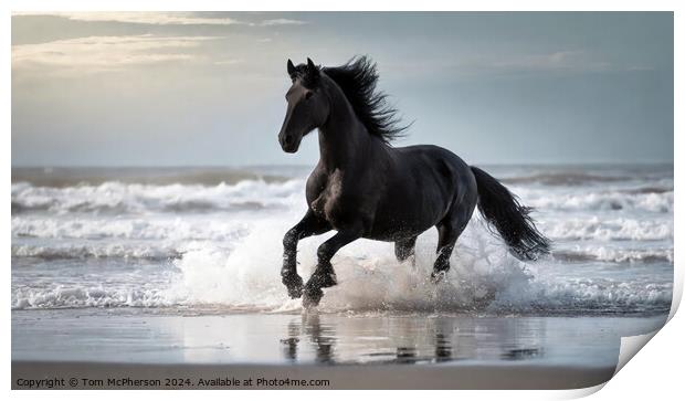 Fresian Horse run through the surf at the beach Print by Tom McPherson