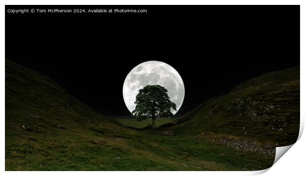 The moon and the Sycamore Gap tree  Print by Tom McPherson