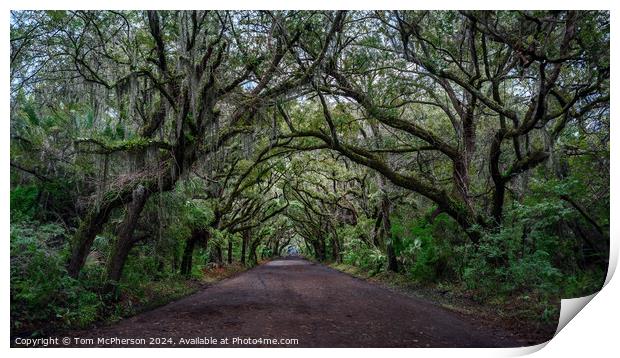 Botany Bay Road Print by Tom McPherson