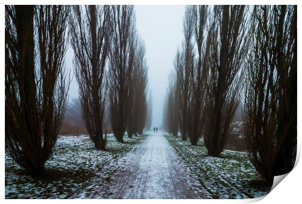Symetric walk path in fog Print by Dalius Baranauskas