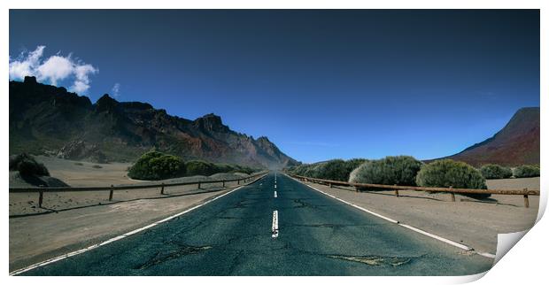Road in Tenerife island to Teide vulcano Print by Dalius Baranauskas