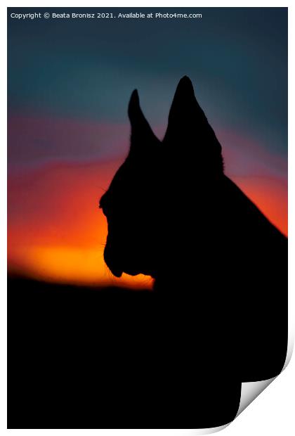 Sunset with a French Bulldog Print by Beata Bronisz