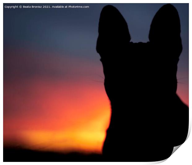 Sunset with a French Bulldog Print by Beata Bronisz