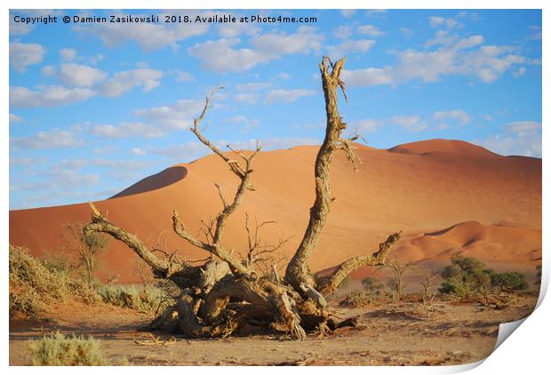 Dead tree in the namib desert Print by Damien Zasikowski