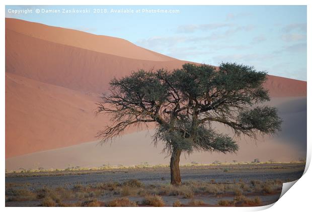 Soletary tree in the Namibian desert Print by Damien Zasikowski