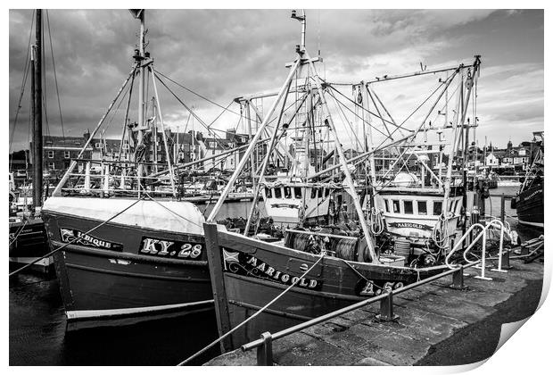 Ubique and Marigold, Arbroath Harbour Print by David Jeffery