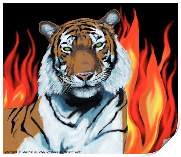 Tiger! Tiger! burning bright Print by Lisa Hands