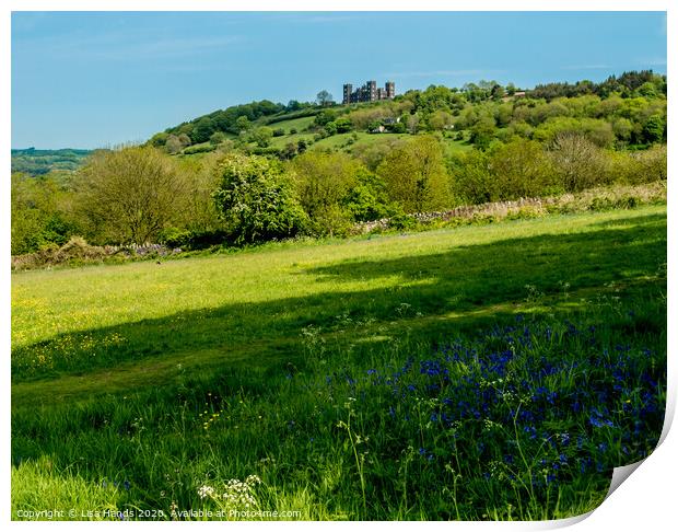 Riber Castle and Bluebells Print by Lisa Hands