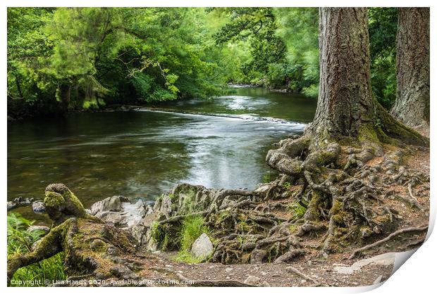 River Llugwy, Betws-y-Coed, Wales Print by Lisa Hands