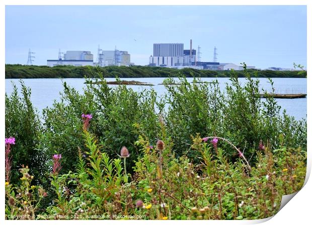 Dungeness Nuclear Power Station (2) Print by Nathalie Hales