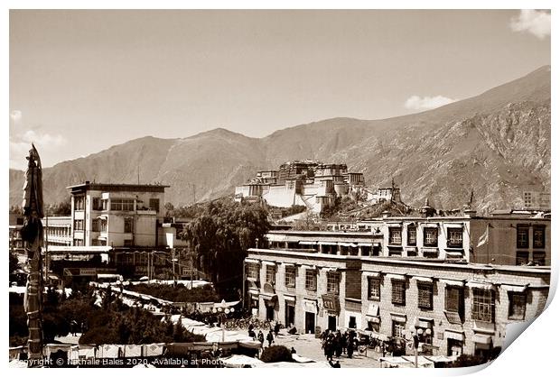 Potala Palace , Lhasa Print by Nathalie Hales