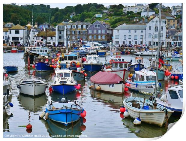 Mevagissey view from the harbour Print by Nathalie Hales