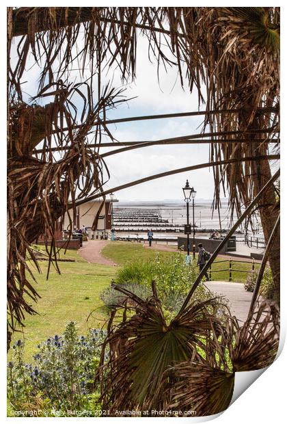 Hunstanton park looking through  palm trees to the coast Print by Holly Burgess