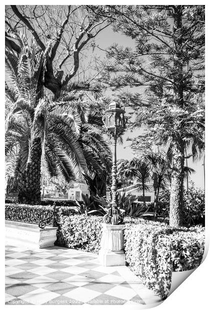 Black and White, Park in Cadiz, metal lamppost decorates the area many scattered around the island  Print by Holly Burgess