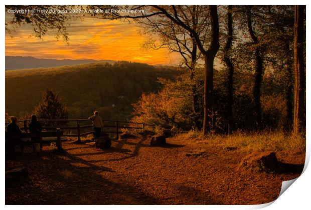 Autumn golden evening overlooking the hills in Yat A tree with a sunset in the background Print by Holly Burgess