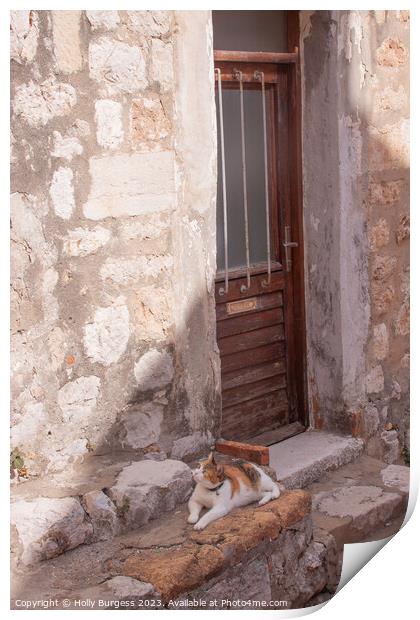 Cat sitting on the step in Dubrovnik Croatia  Print by Holly Burgess