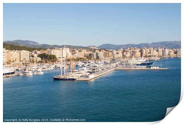 Palma Marina Port Print by Holly Burgess