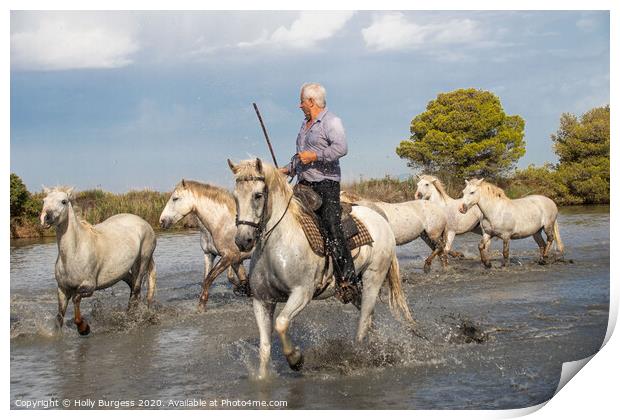 Captivating Camargue: A Protected Paradise Print by Holly Burgess