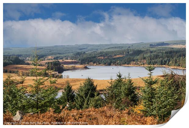 Kielder Water, Northumberland Biggest man made woodland in Europe  Print by Holly Burgess