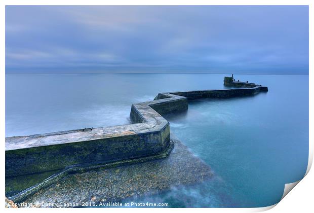 St.Monans Harbour Print by Danny Cannon