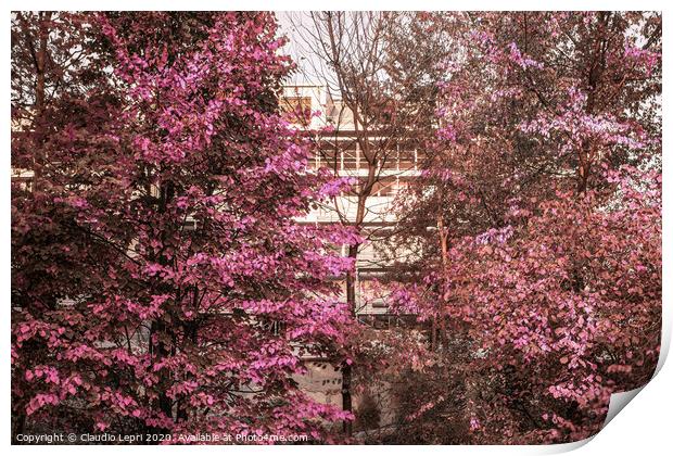 Imaginative picture with pink foliage and straight lines Print by Claudio Lepri