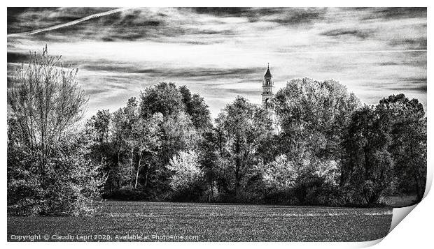 Trees and one bell tower in black and white Print by Claudio Lepri