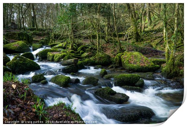 kennal vale woods Print by craig parkes