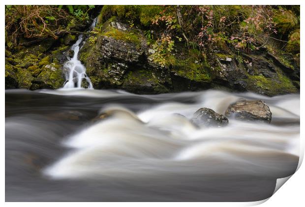 River Falloch Print by Tony Higginson