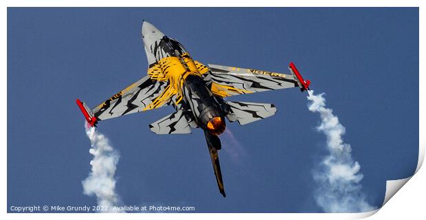 Belgian Airforce Tiger squadron Print by Mike Grundy