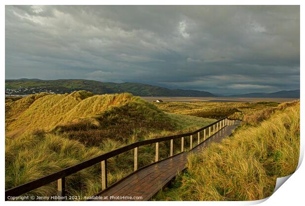 Ynyslas sand dunes Dyfi estuary Ceredigion Wales Print by Jenny Hibbert