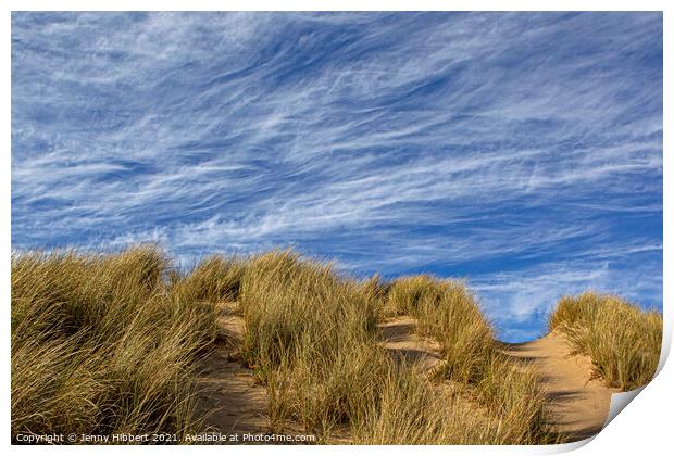 Ynyslas sand dunes Dyfi National Nature reserve Print by Jenny Hibbert
