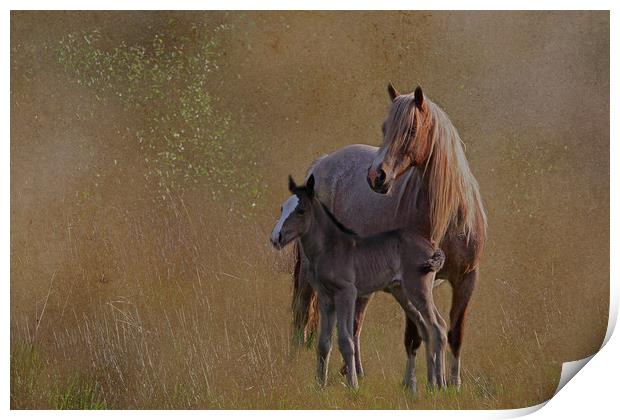 Mare with foal Print by Jenny Hibbert