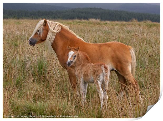 Mare with young foal Print by Jenny Hibbert