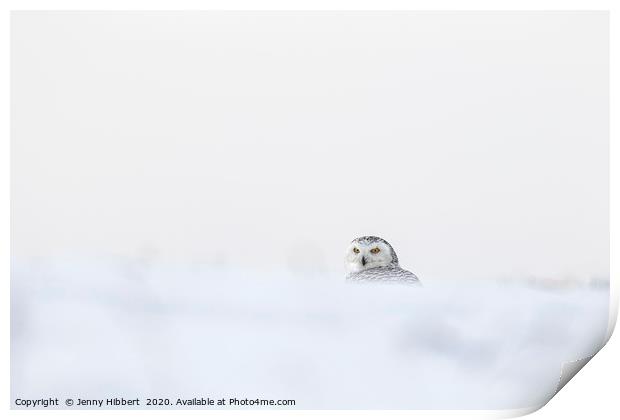 Snowy Owl in deep snow Print by Jenny Hibbert