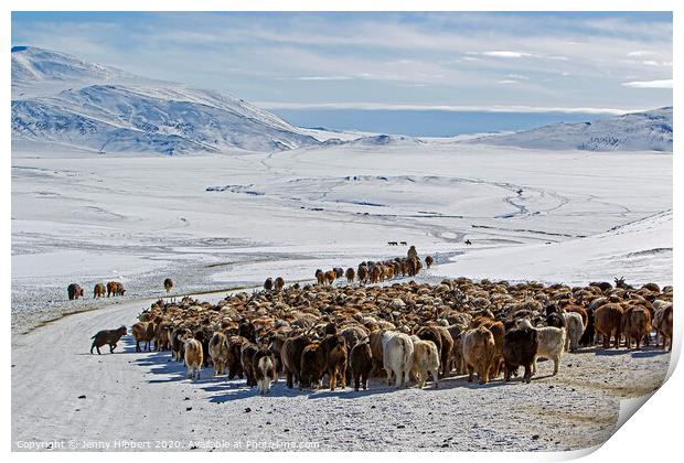 Kazakh nomads migrating heading for the Altai mountain range Print by Jenny Hibbert