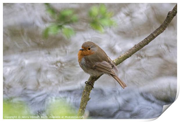 A Robin perched above a fast flowing river Print by Jenny Hibbert