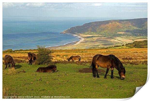 Exmoor ponies looking towards Porlock bay, Somerset Print by Jenny Hibbert