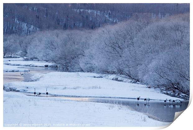 Red Crowned Cranes at dawn near Ottowa bridge Hokkaido Print by Jenny Hibbert