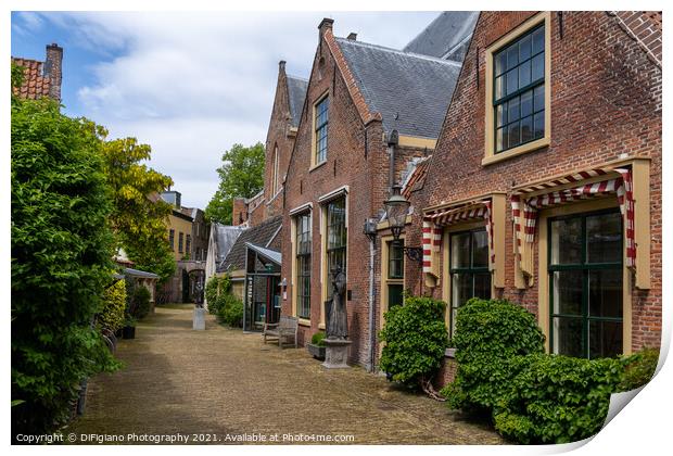 Haarlem Neighborhood Print by DiFigiano Photography